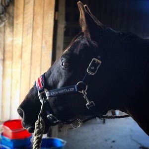 Meet your Posher, Derek